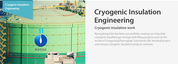 Cryogenic Insulation Engineering