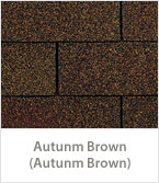Autunm Brown