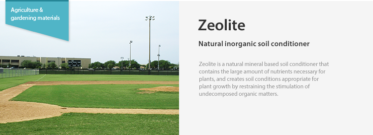 Zeolite